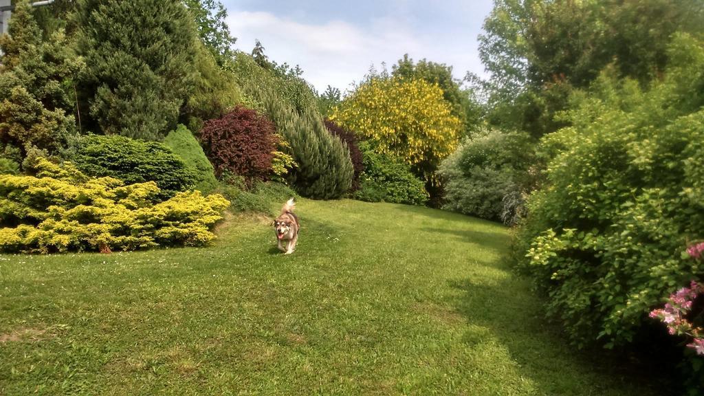 Apartmány Blata Esterno foto